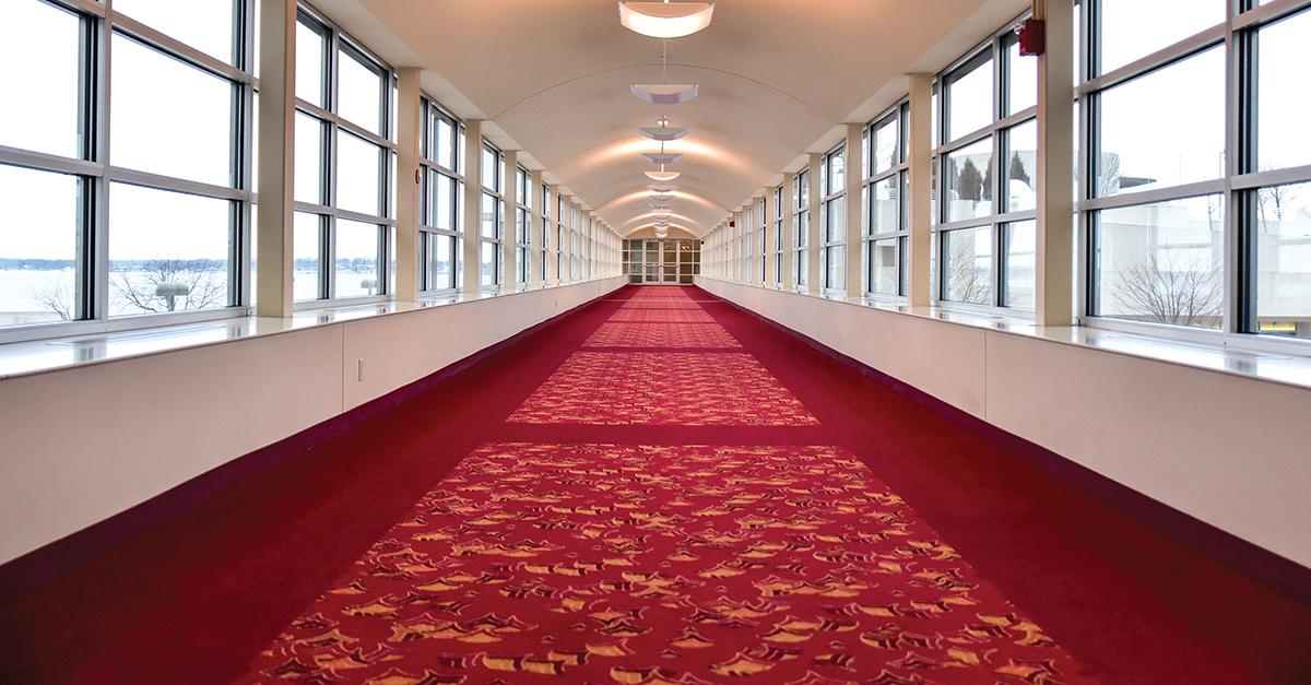 A Dry Approach to Carpet Cleaning