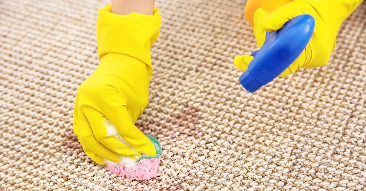 How To Remove Diffe Types Of Stains From Carpeting