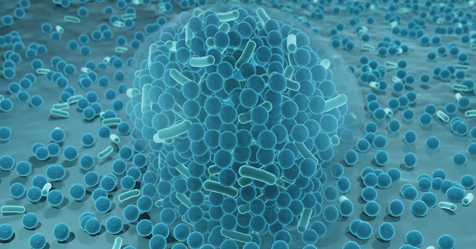 Biofilm: The Invisible Barrier to a Clean Healthcare Environment