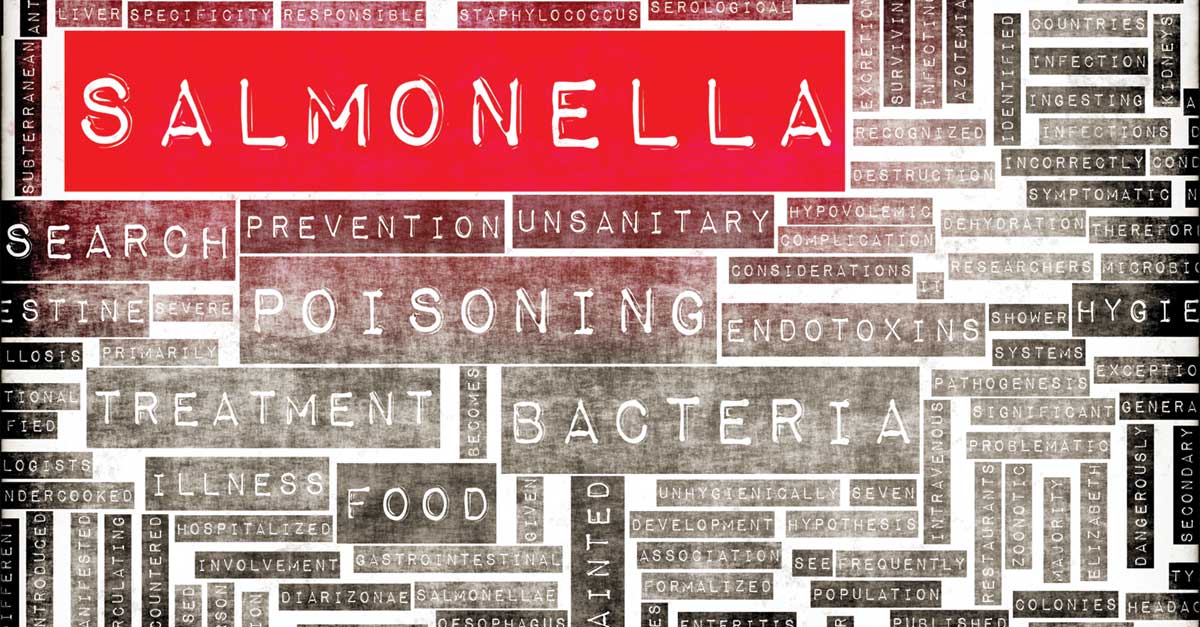Salmonella Outbreak Spreads to 35 States Cleaning & Maintenance