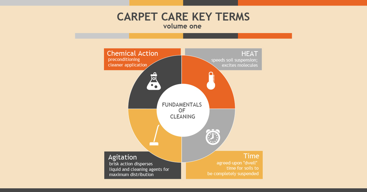 auge Trastorno Delegación Learn About Carpet Care Methods and Terms