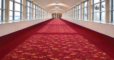 A Dry Approach to Carpet Cleaning
