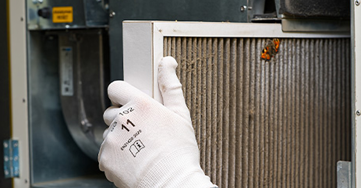 Five Technologies That Clean the Air