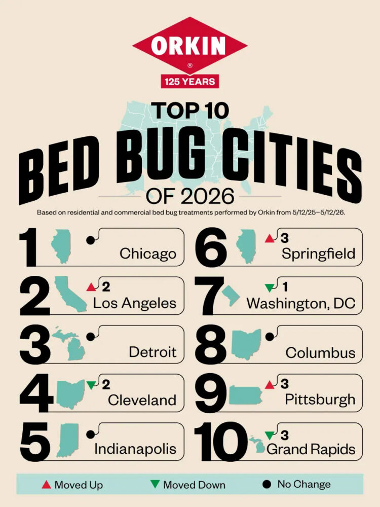 Bed Bug Cities