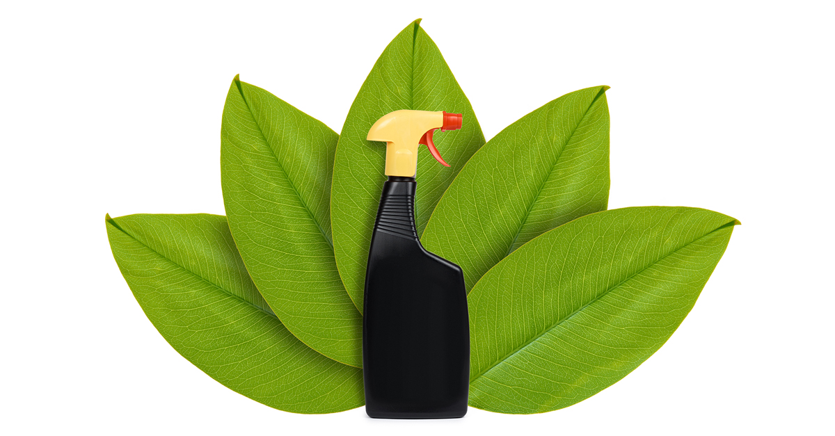 How to Identify Authentically Botanical Disinfectants