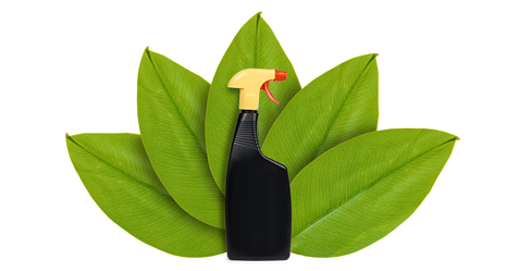 How to Identify Authentically Botanical Disinfectants