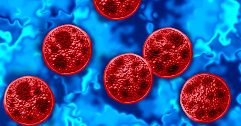 Cyclosporiasis
