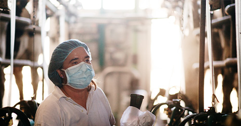 CDC Offers Revised Guidance for Bird Flu Prevention Based on New Study ...