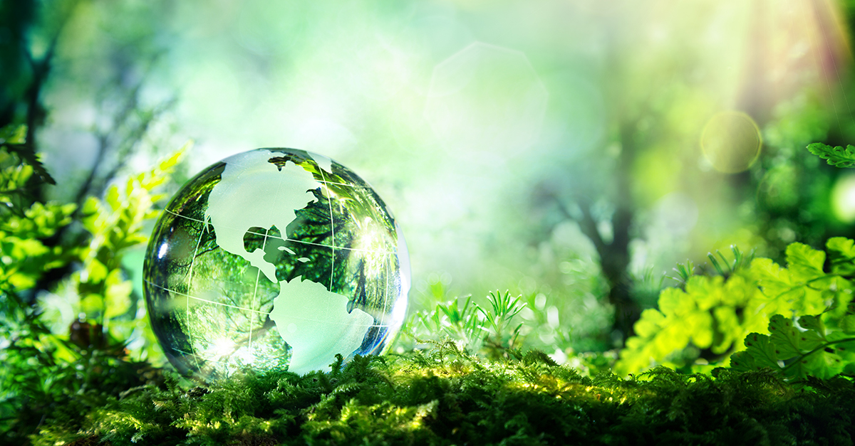 Advance the Cleaning Industry With Transparency