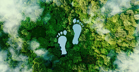 global footprint, sustainability, environmental