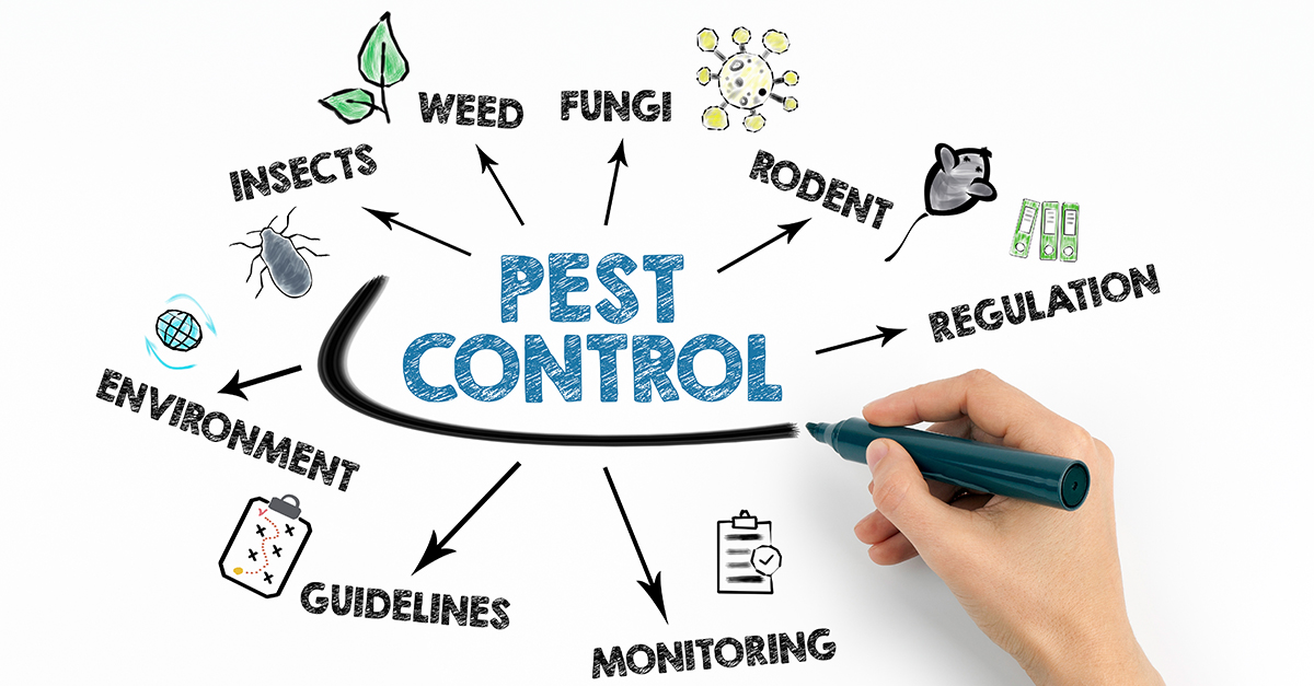 Look Beyond Price When Choosing a Pest Control Service
