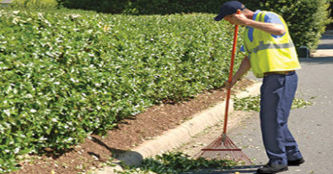 How to Maintain a Healthy Landscape