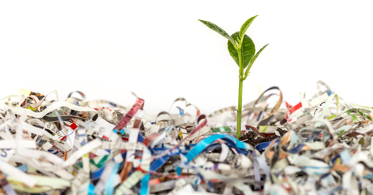 Turn Your Paper Trash Into a Sustainable Cleaning Tool