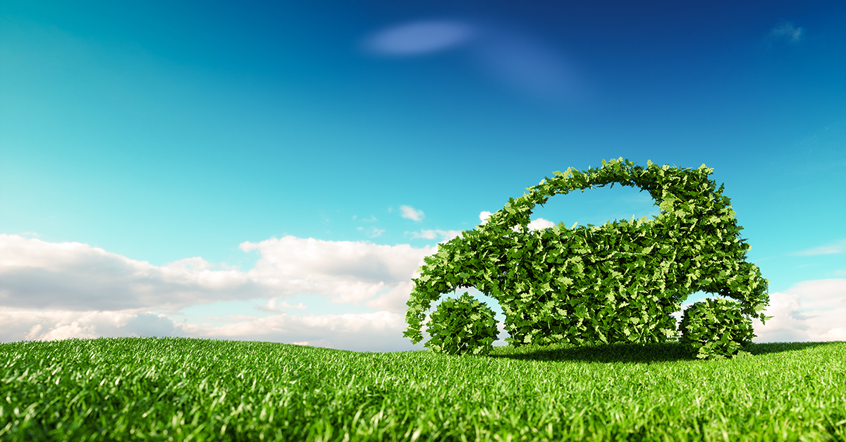 Sustainability Reporting: A CARFAX for the Cleaning Industry