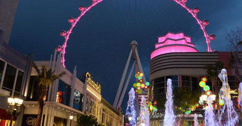 What to Do After the Show