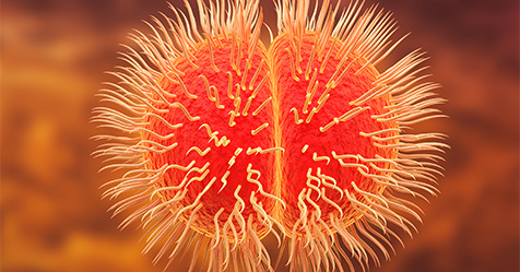 Meningococcal Disease Rises as Teen Vaccination Declines